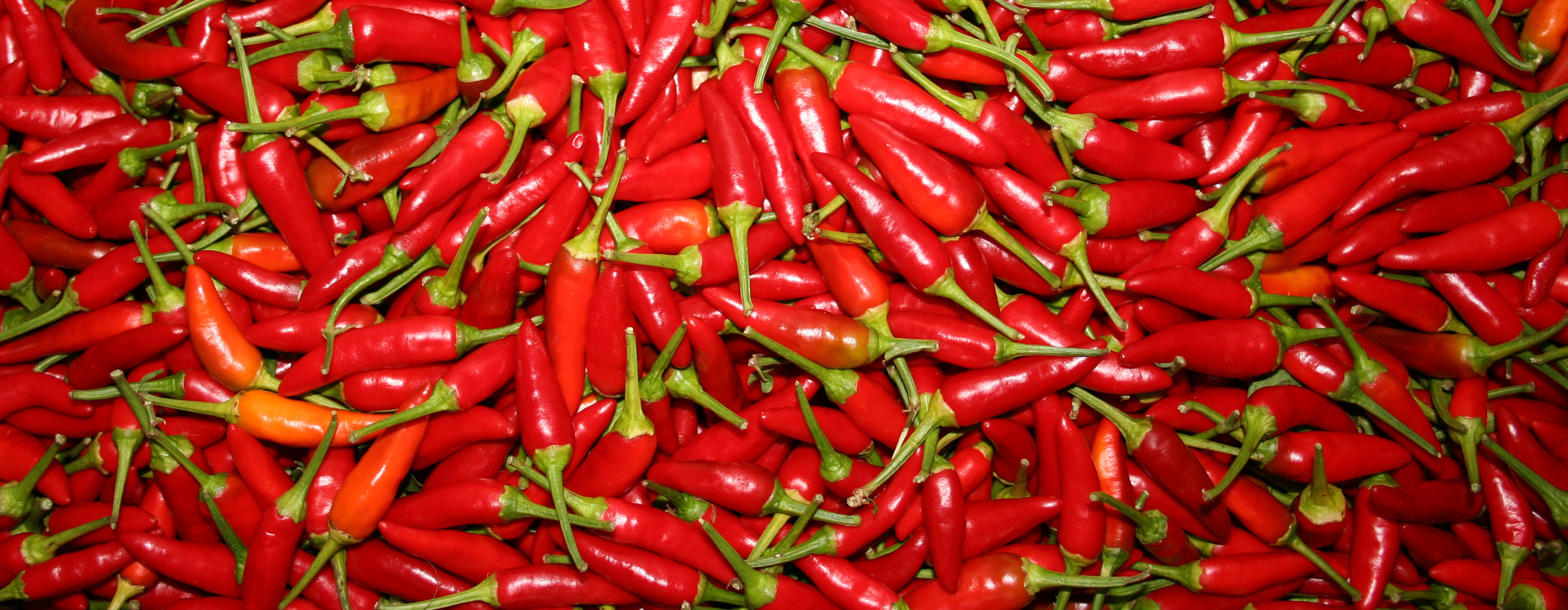 Malawi Chilies Malawi Chilies