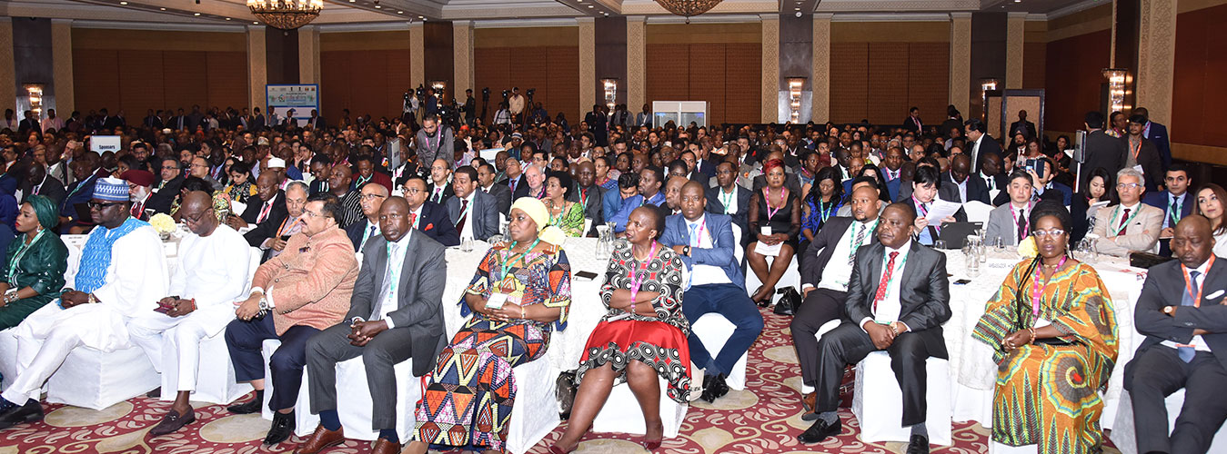 India-Africa Project Partnership India-Africa Project Partnership