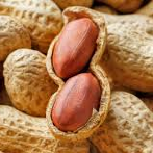 Groundnuts