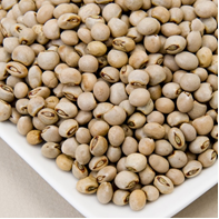 Pigeon Peas   large
