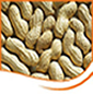 groundnuts
