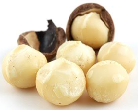 macadamia large