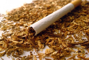 tobacco large 2