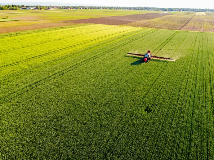 maize farming malawi