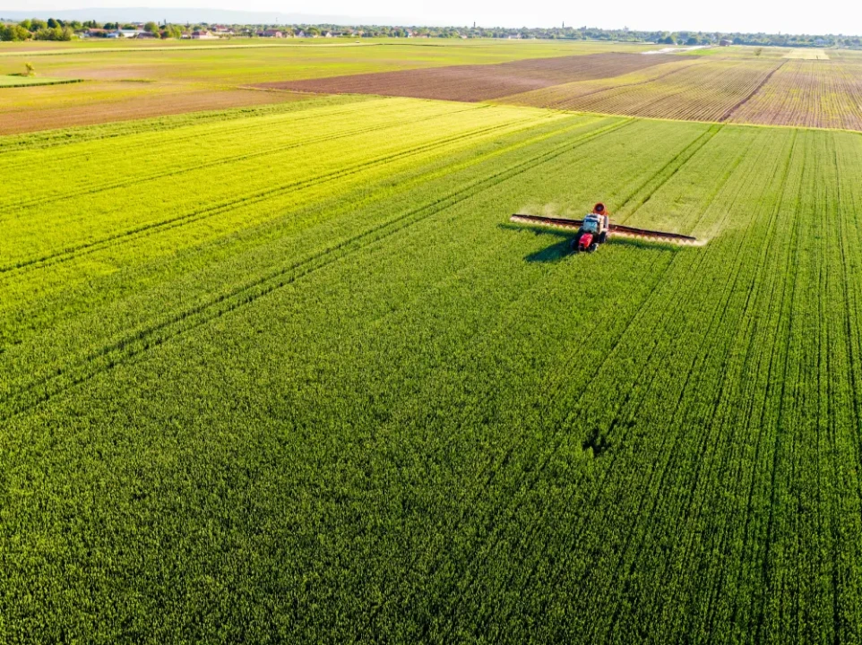 Agro-Processing in Malawi